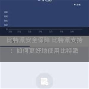 比特派安全保障 比特派支持：如何更好地使用比特派