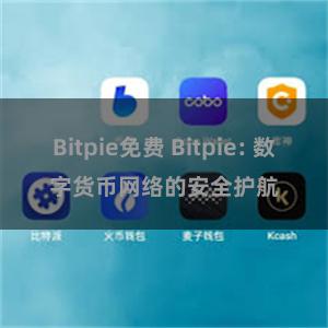 Bitpie免费 Bitpie: 数字货币网络的安全护航