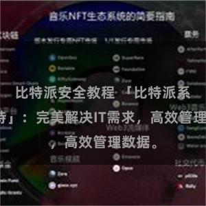 比特派安全教程 「比特派系统支持」：完美解决IT需求，高效管理数据。
