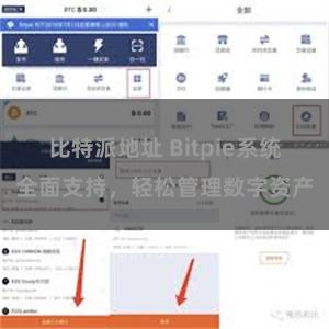 比特派地址 Bitpie系统全面支持，轻松管理数字资产