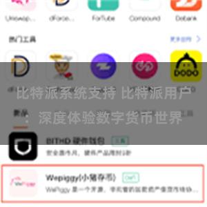 比特派系统支持 比特派用户：深度体验数字货币世界