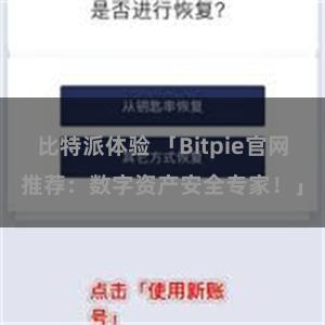 比特派体验 「Bitpie官网推荐：数字资产安全专家！」