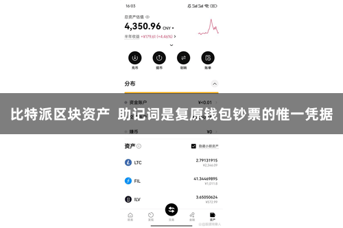 比特派区块资产  助记词是复原钱包钞票的惟一凭据