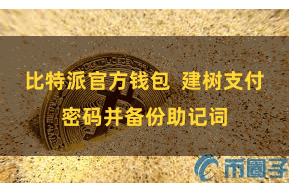 比特派官方钱包  建树支付密码并备份助记词