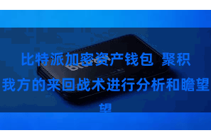比特派加密资产钱包  聚积我方的来回战术进行分析和瞻望