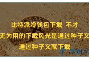 比特派冷钱包下载  不才载文献无为用的下载风光是通过种子文献下载
