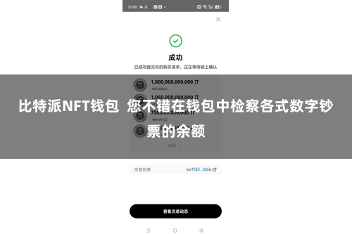 比特派NFT钱包  您不错在钱包中检察各式数字钞票的余额